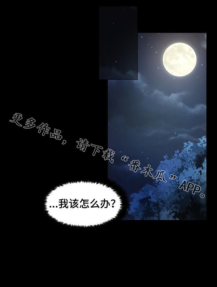 皇家骑士第30话图