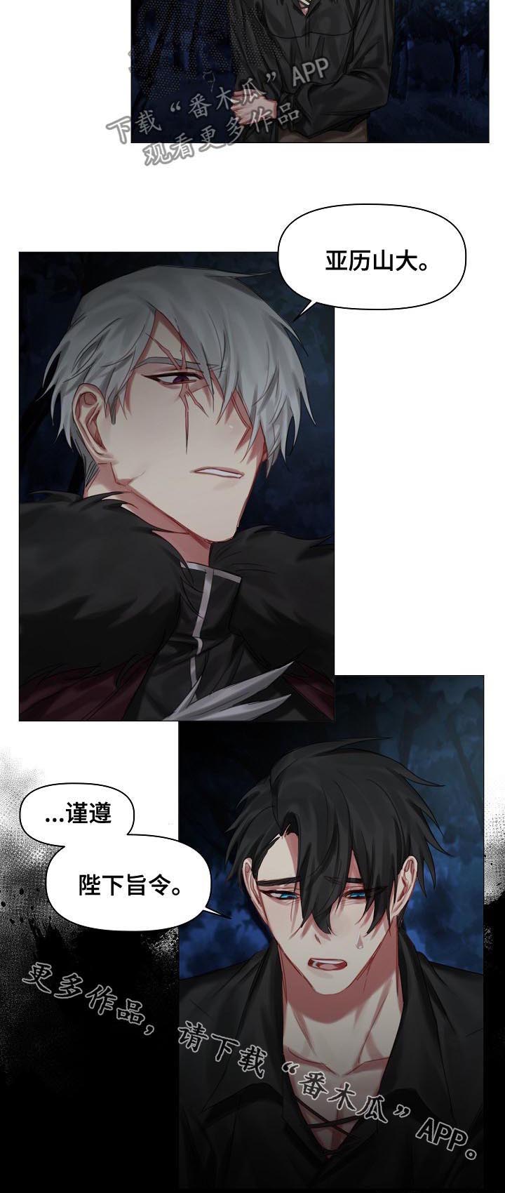 皇家骑士第33话图