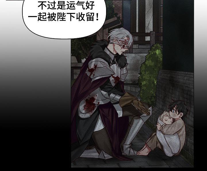皇家骑士第38话图