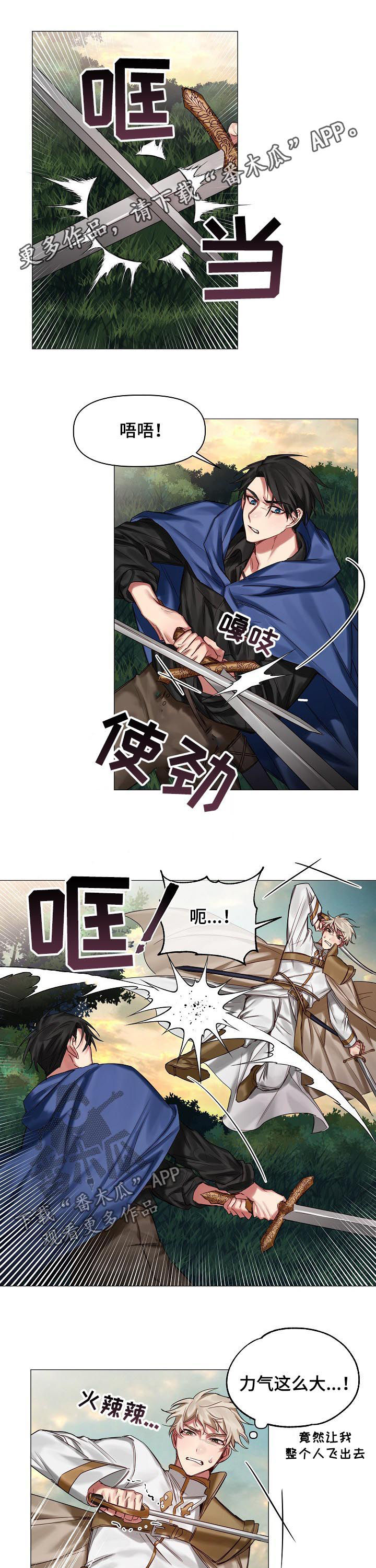 皇家骑士第40话图