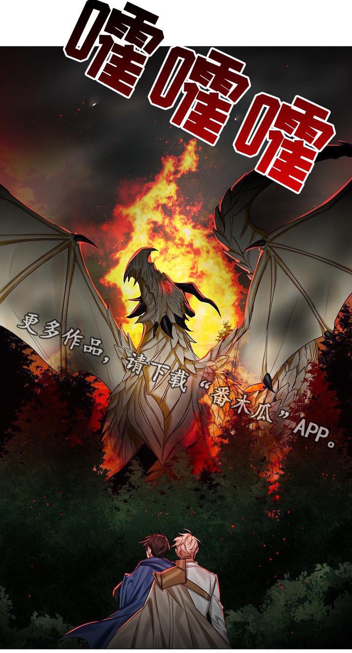 皇家骑士第41话图