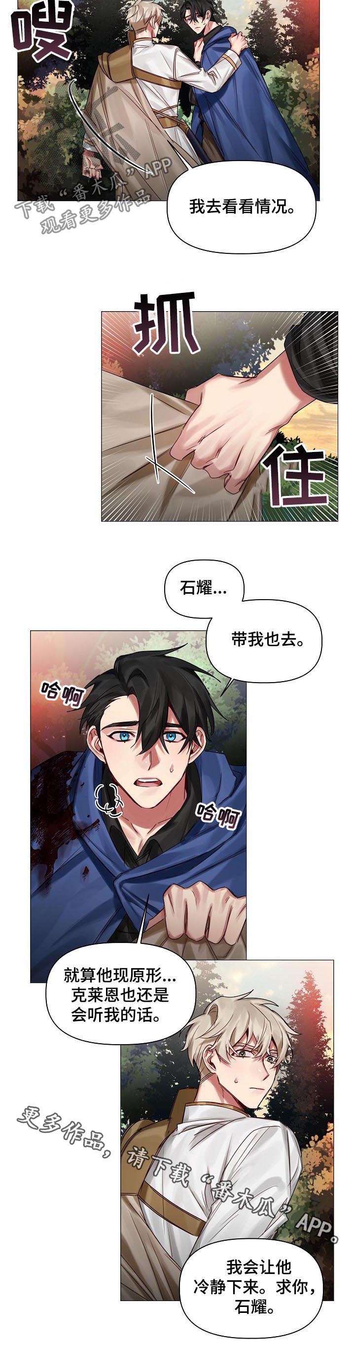 皇家骑士第42话图