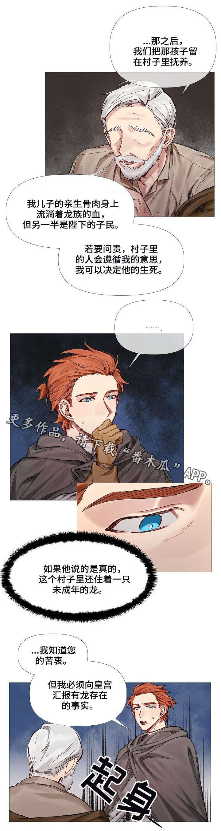 皇家骑士第8话图