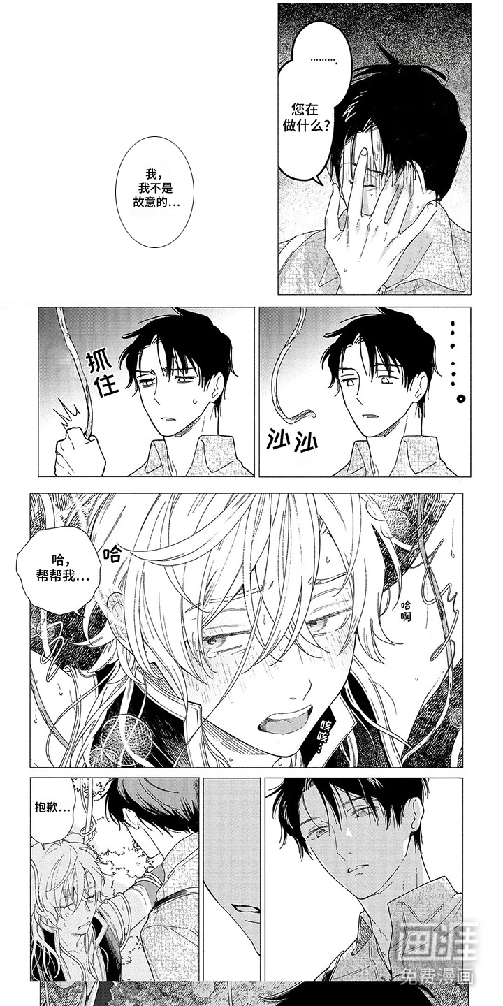 荷尔蒙果实第10话图