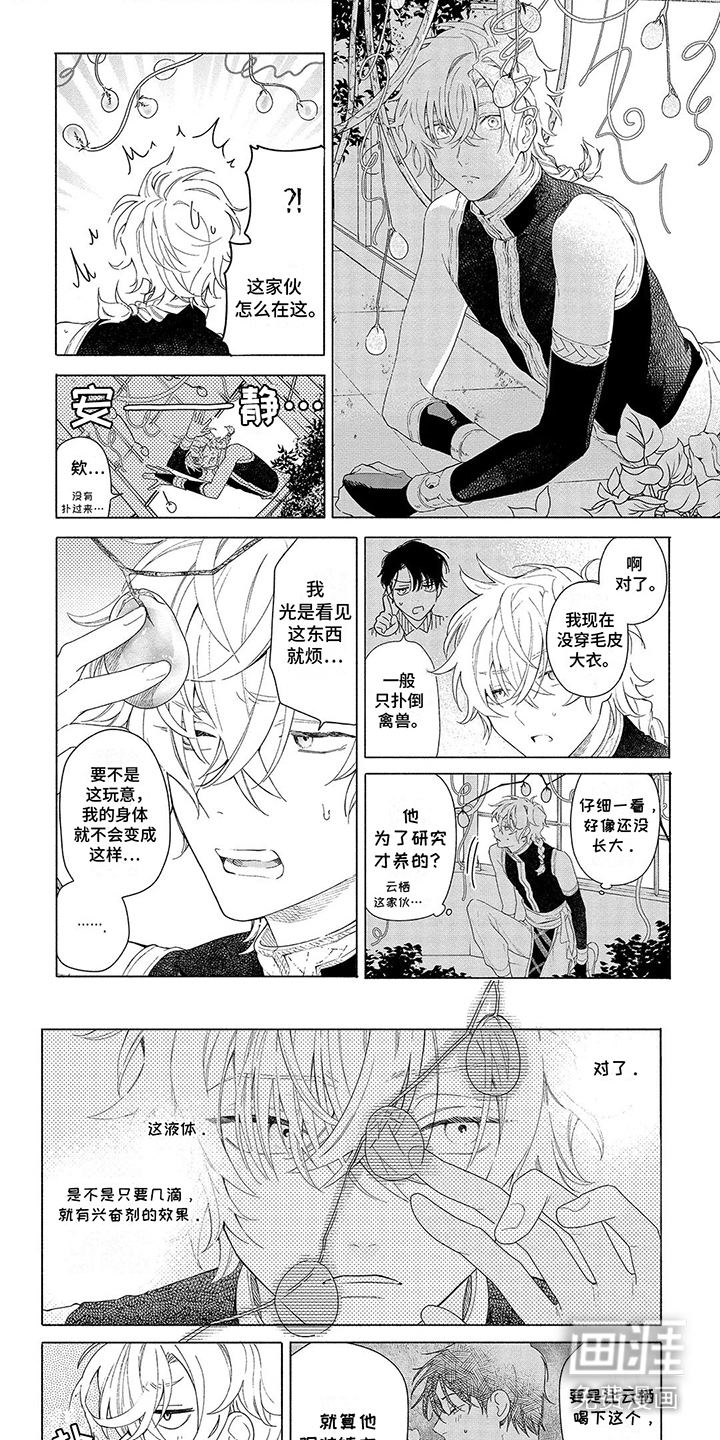 荷尔蒙果实第7话图