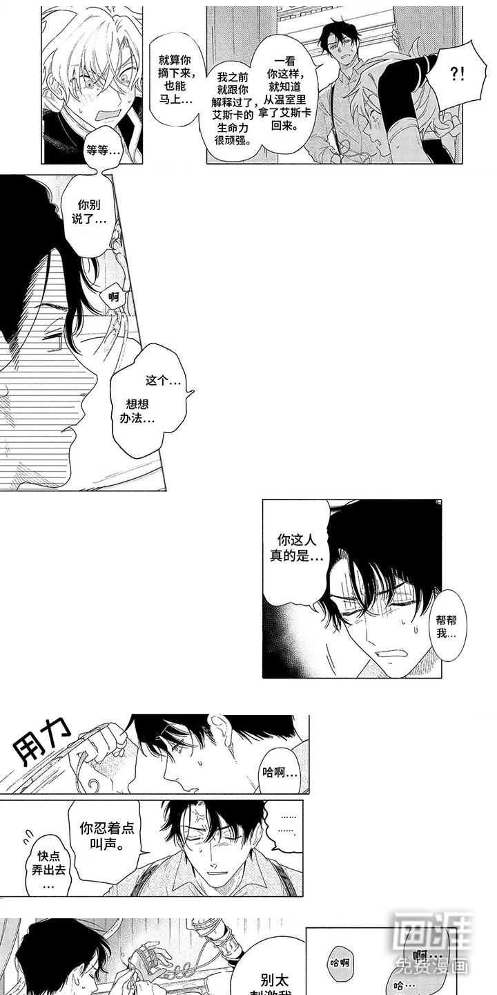 荷尔蒙果实第8话图