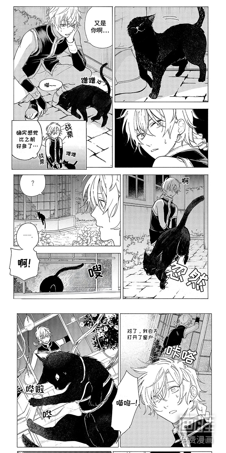 荷尔蒙果实第9话图