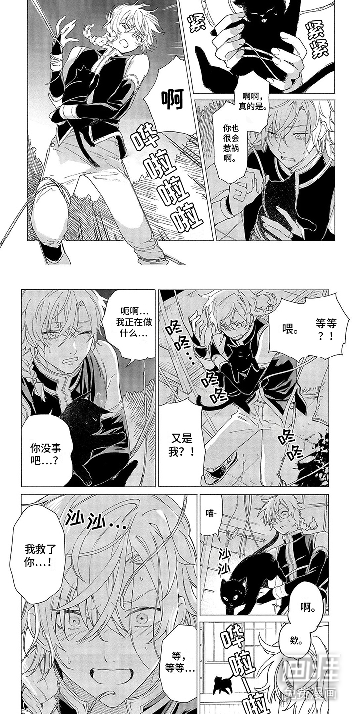 荷尔蒙果实第9话图