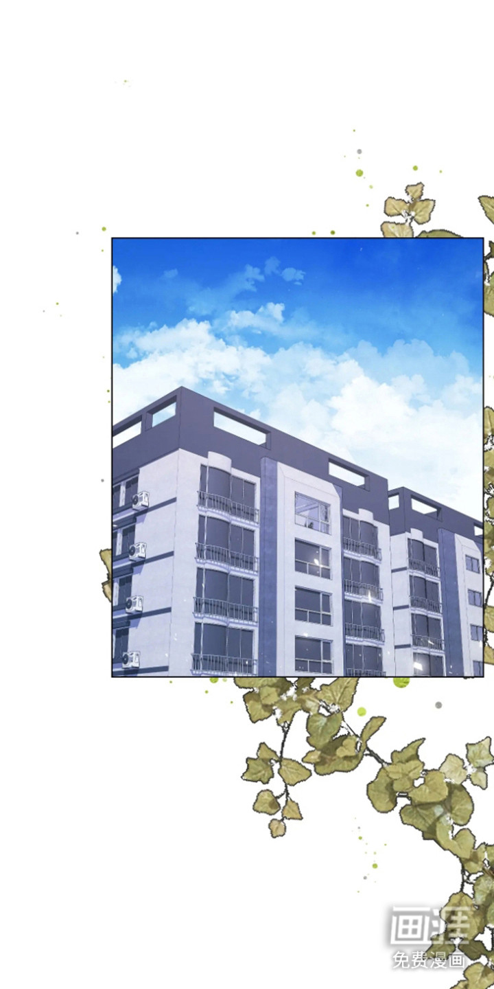 坏苹果替代品第13话图