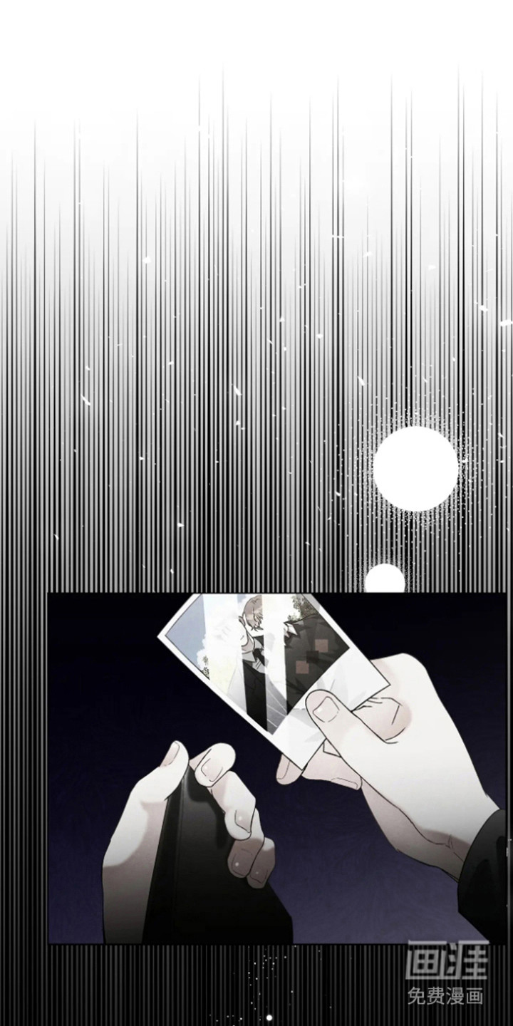 坏苹果替代品第15话图