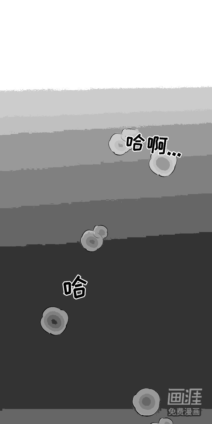 坏苹果替代品第5话图