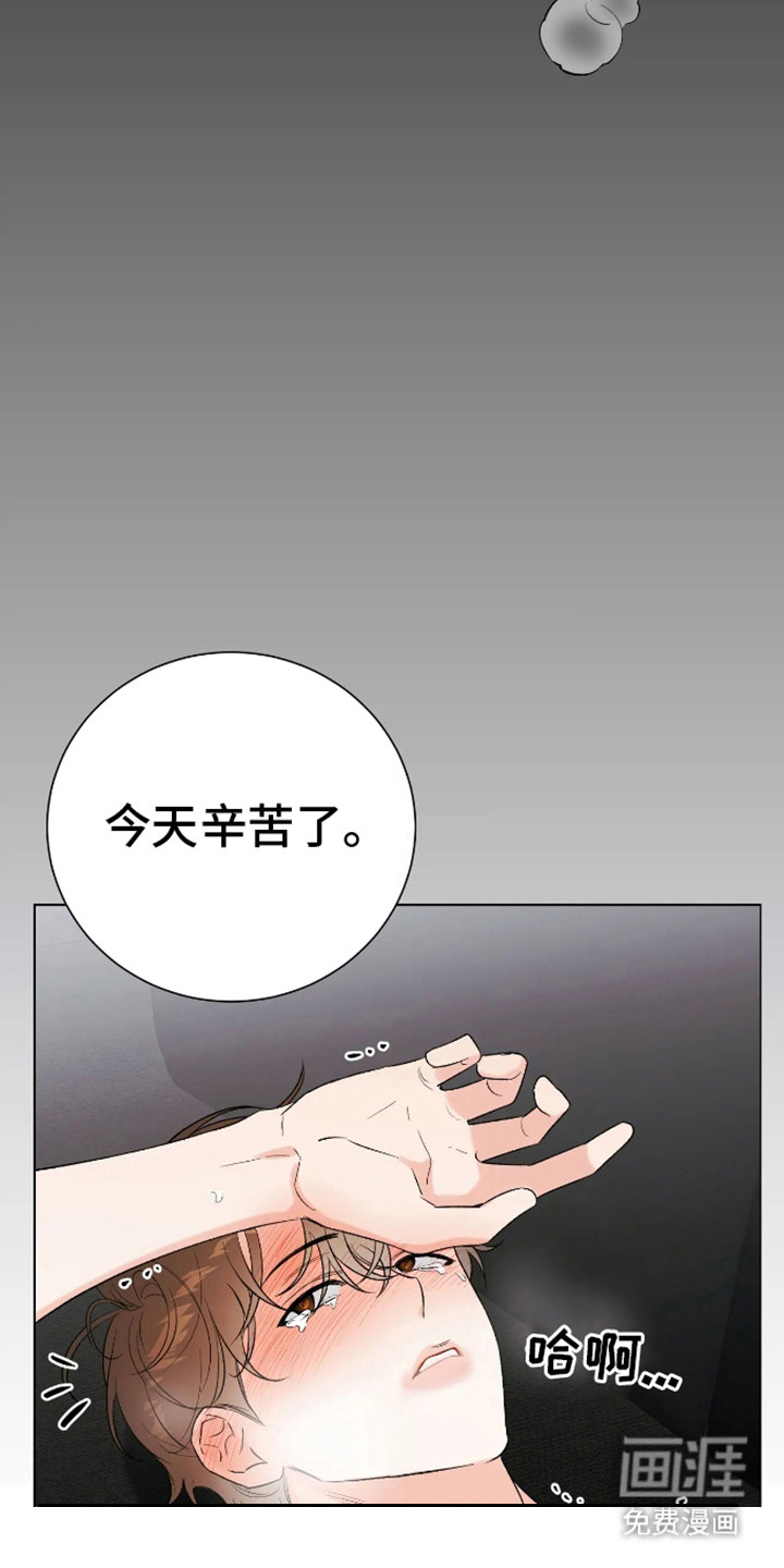 坏苹果替代品第5话图