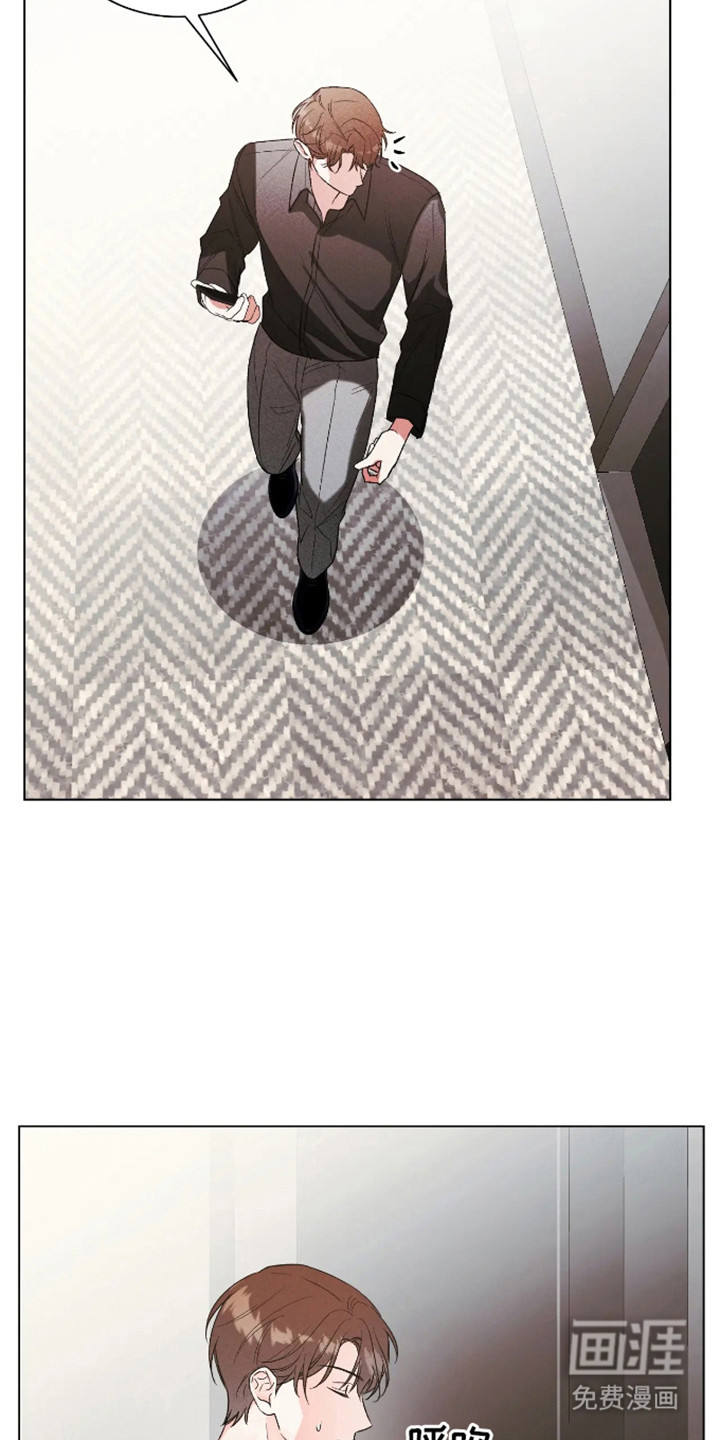 坏苹果替代品第6话图