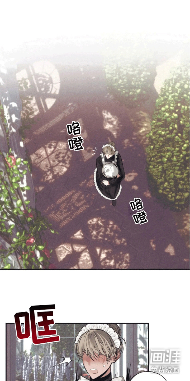 坏苹果禁止通行第10话图