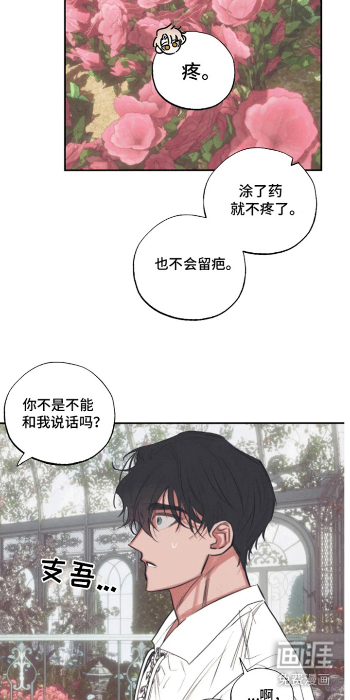 坏苹果禁止通行第3话图