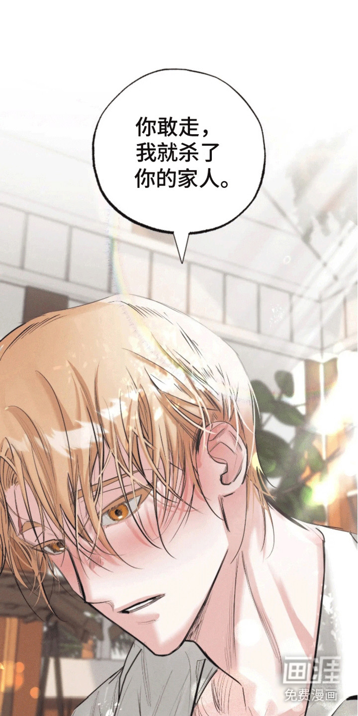 坏苹果禁止通行第5话图