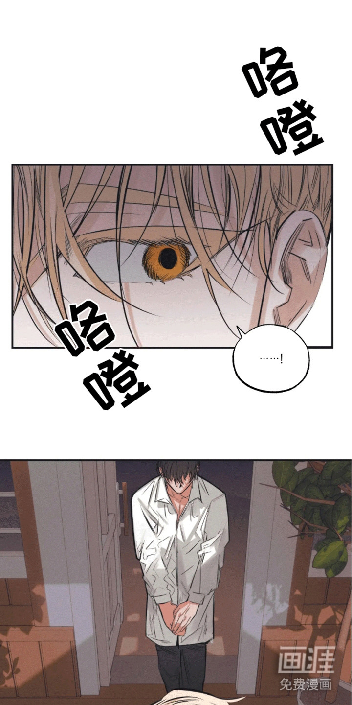 坏苹果禁止通行第9话图