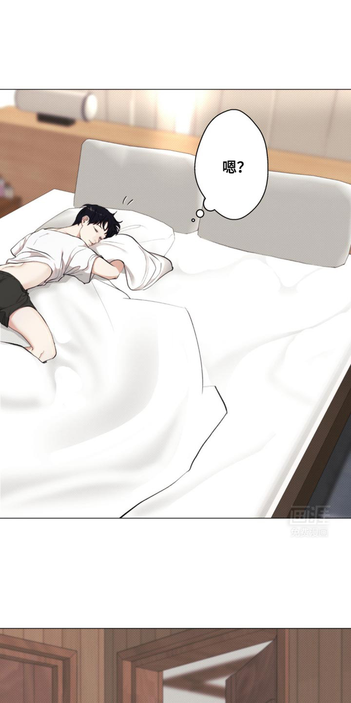 海岛人生第20话图