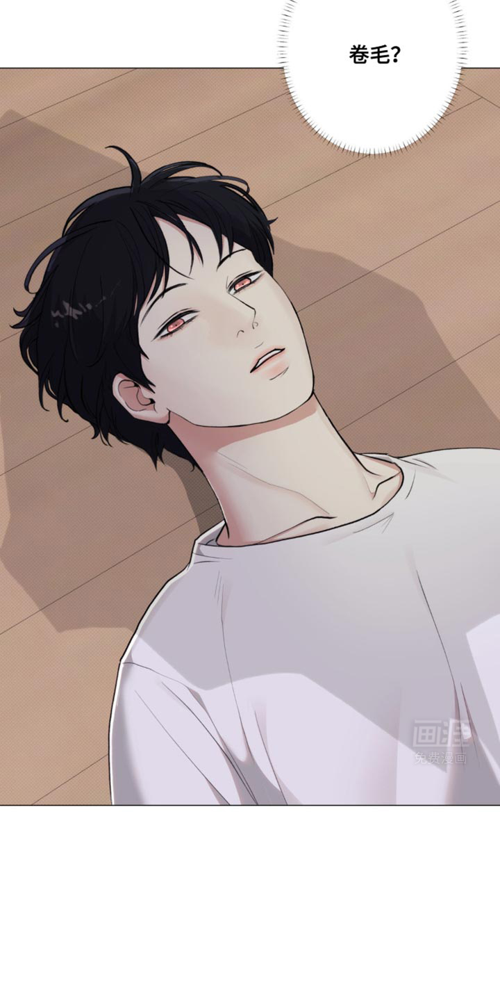 海岛人生第31话图