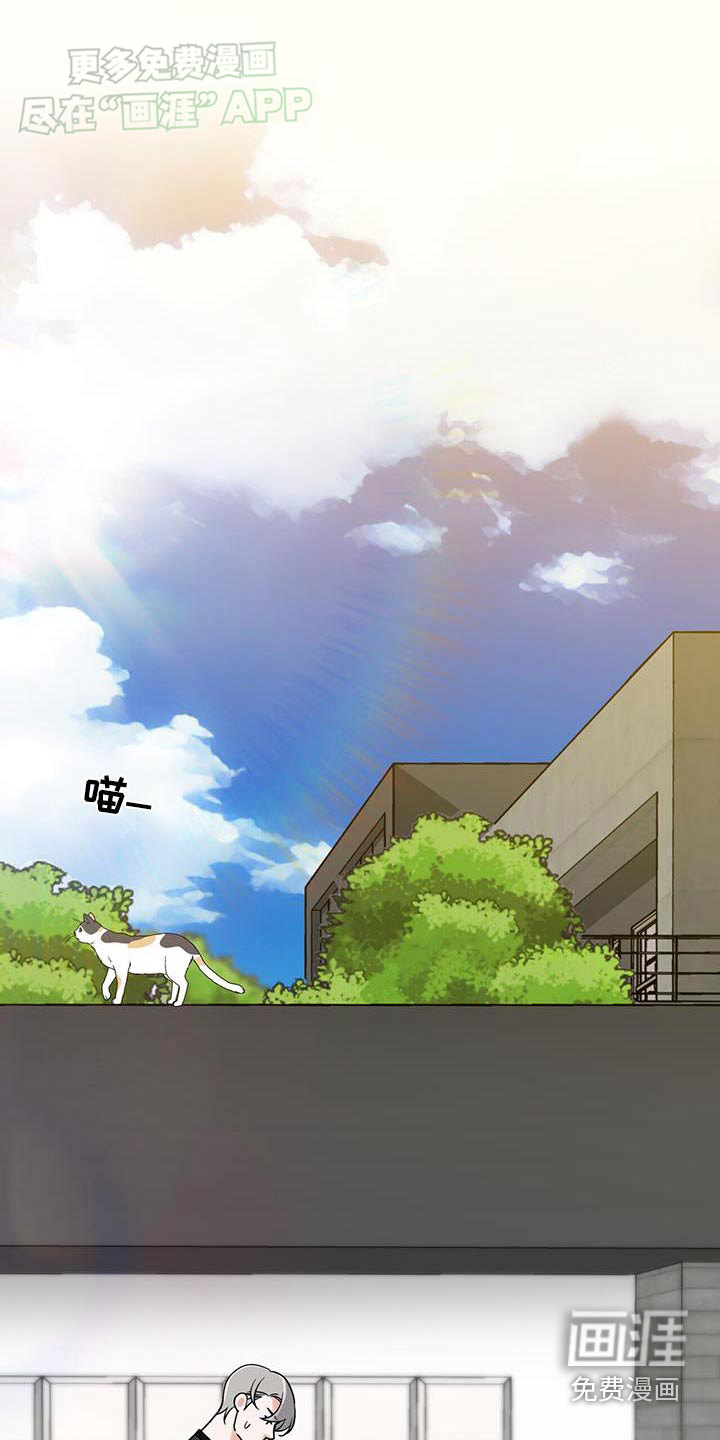 花样间谍第9话图