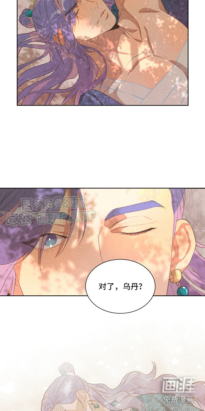 狐狸的礼物第9话图