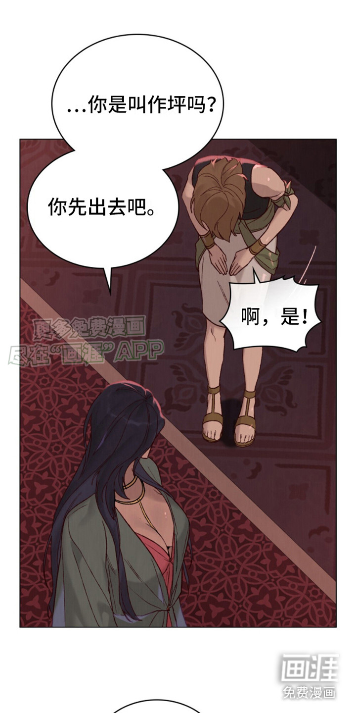 琥珀魅影第11话图