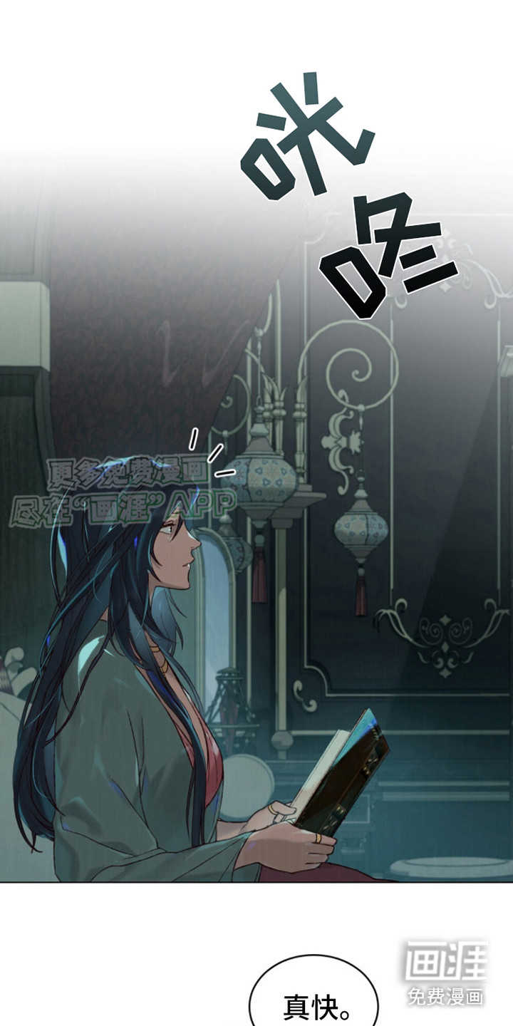 琥珀魅影第14话图