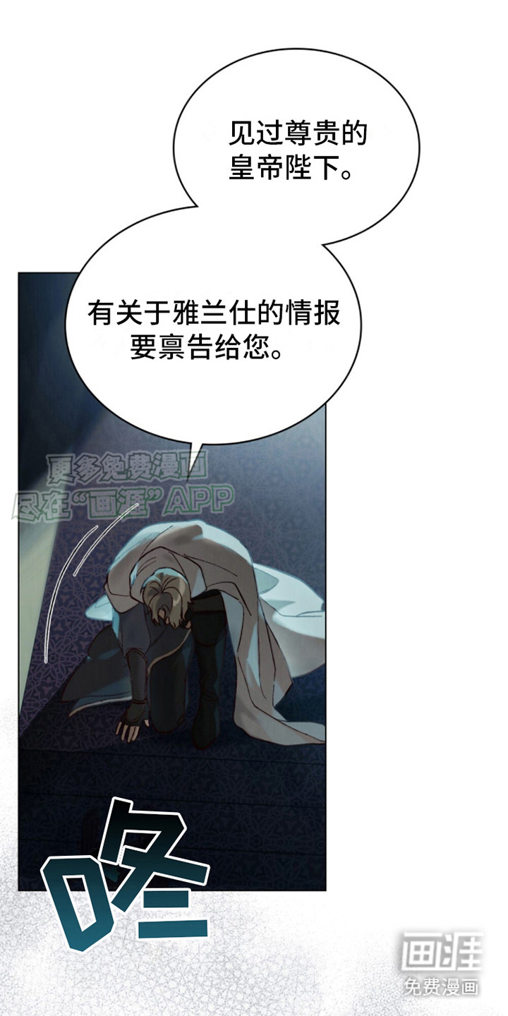 琥珀魅影第15话图