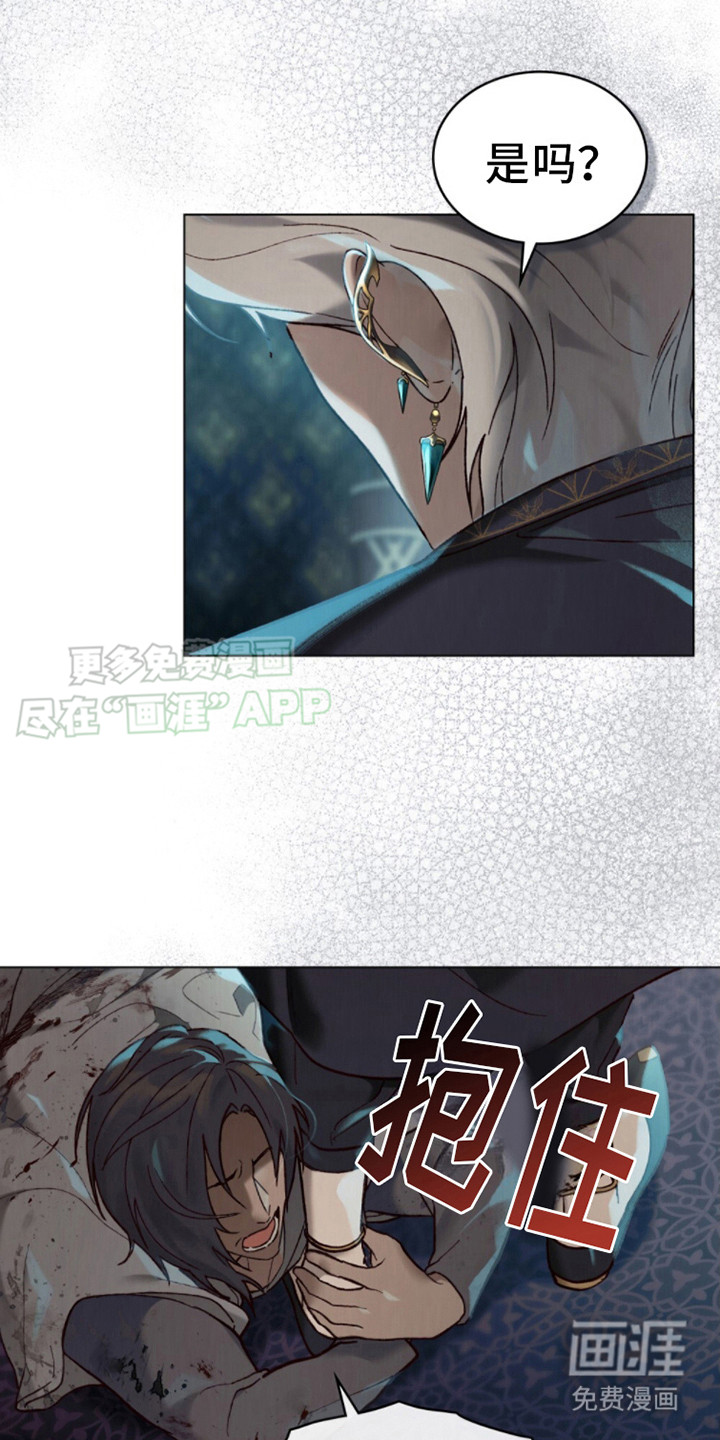 琥珀魅影第15话图