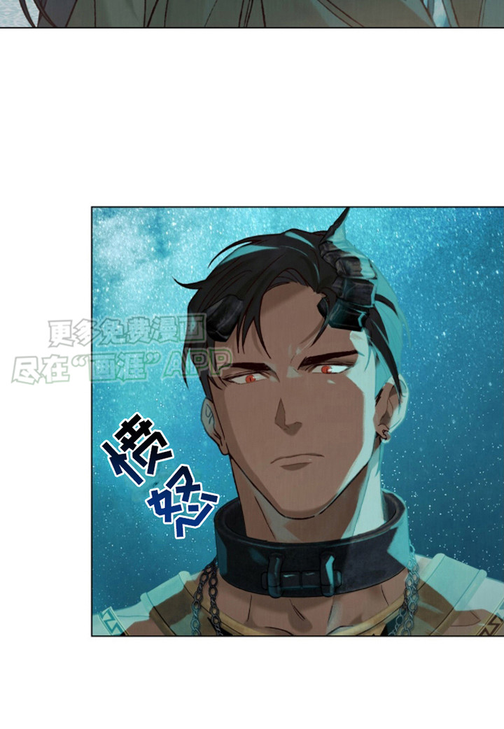 琥珀魅影第15话图