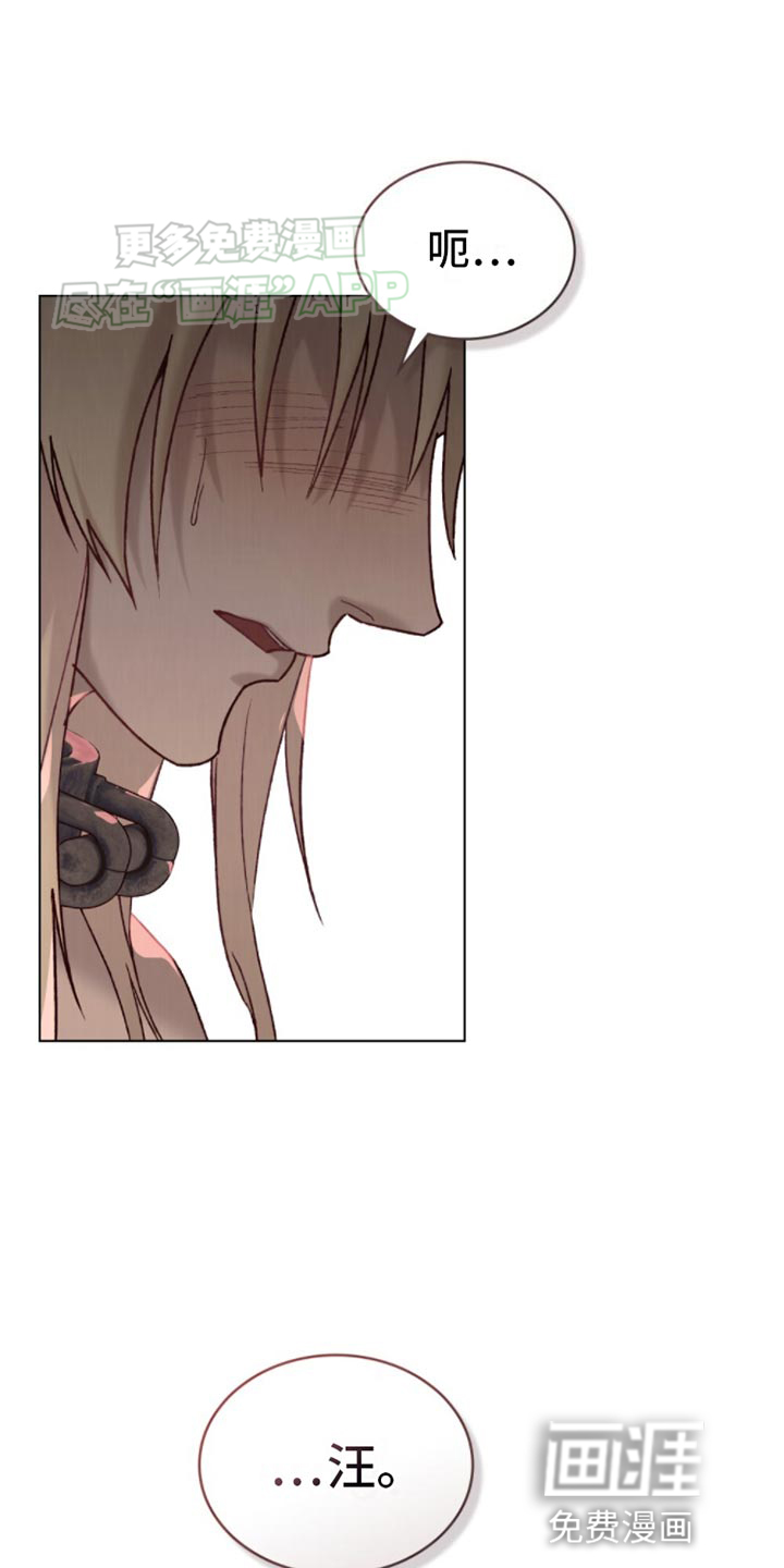 琥珀魅影第26话图