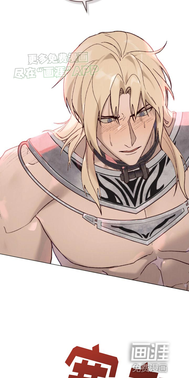 琥珀魅影第26话图