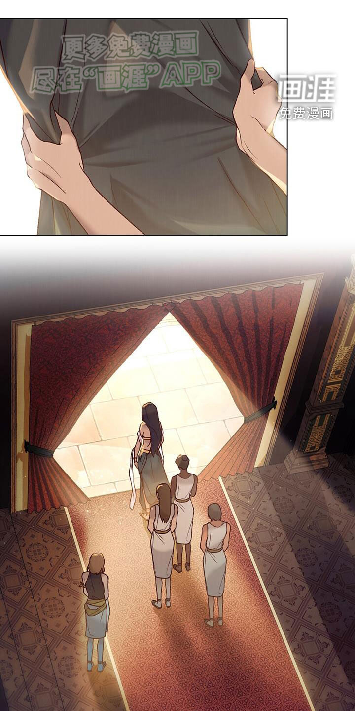 琥珀魅影第29话图