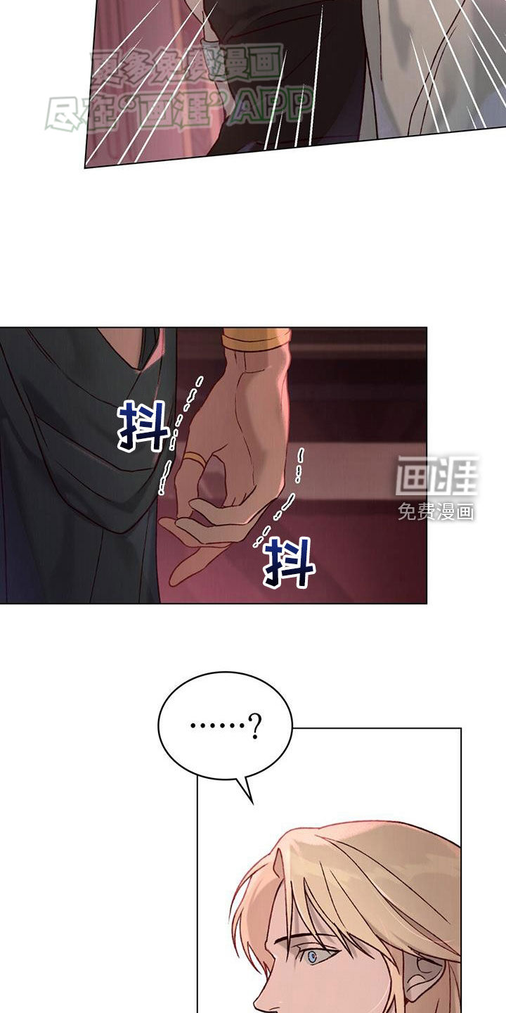 琥珀魅影第31话图