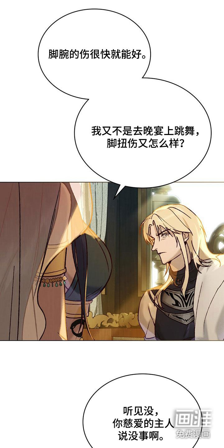 琥珀魅影第35话图