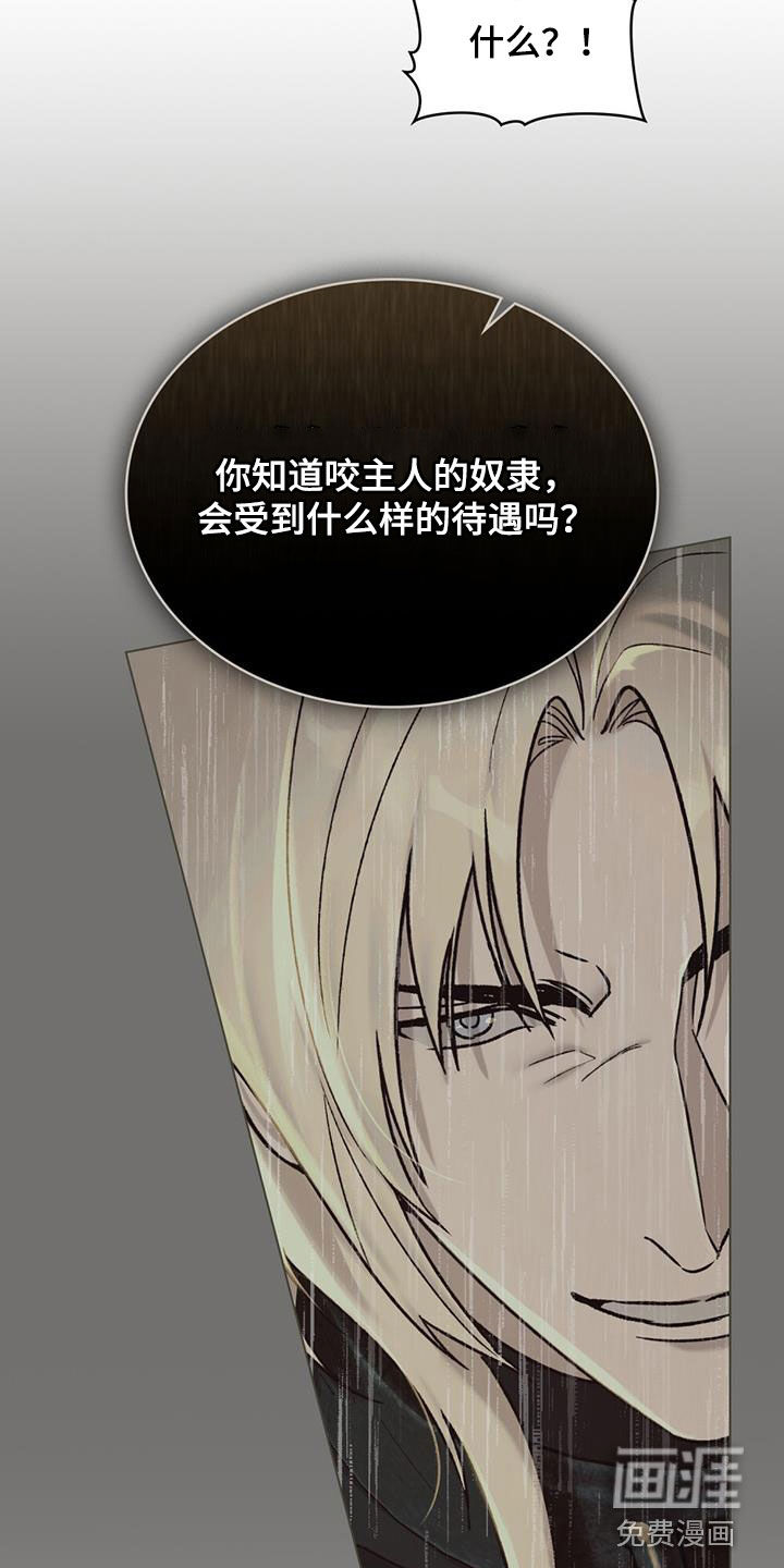 琥珀魅影第35话图