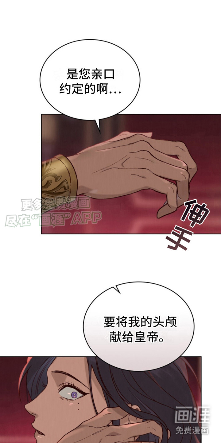 琥珀魅影第4话图