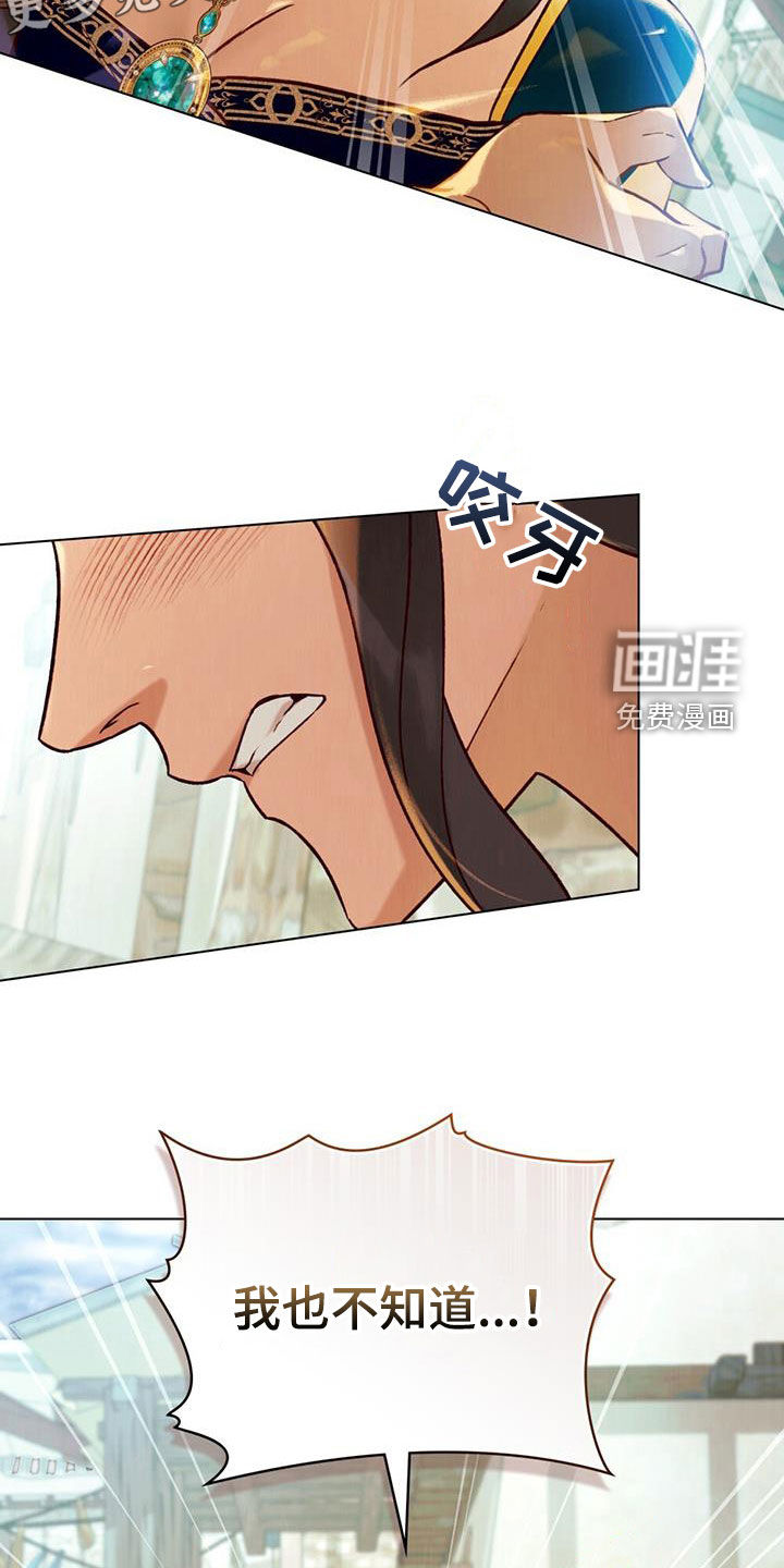 琥珀魅影第43话图