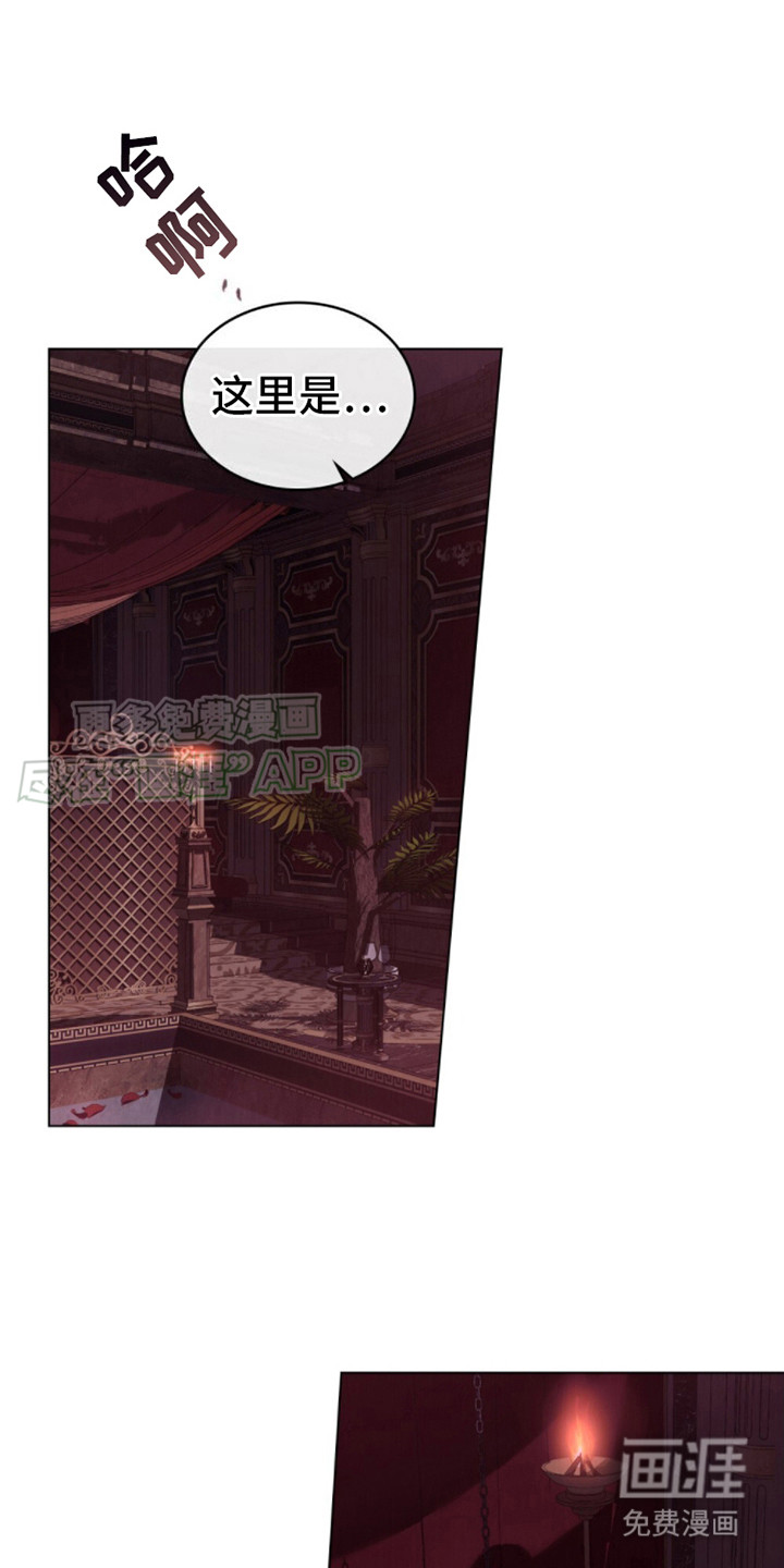 琥珀魅影第6话图