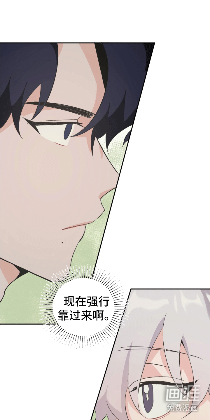 黑芝麻汤圆第11话图