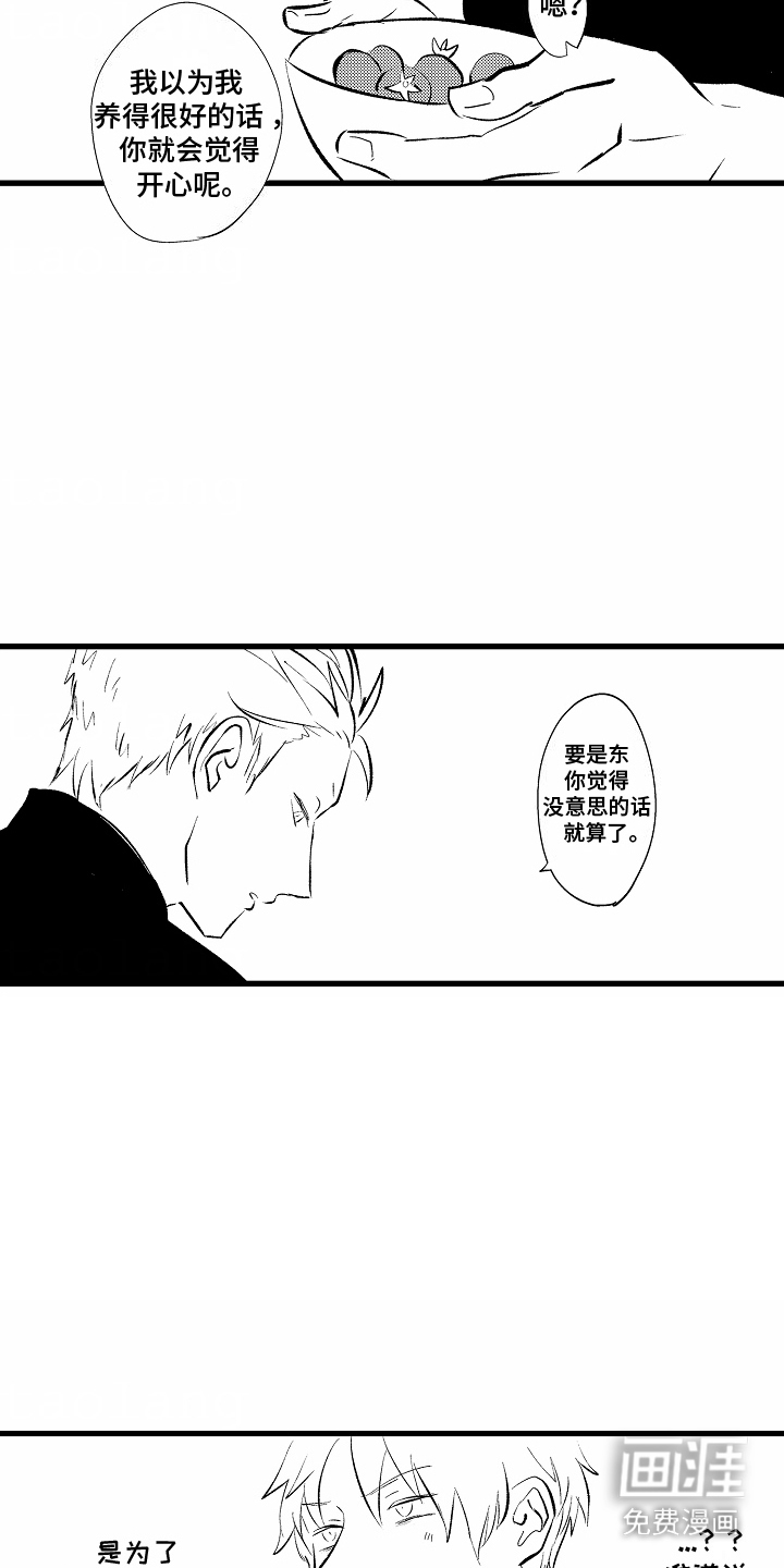 化作人形守护你第10话图