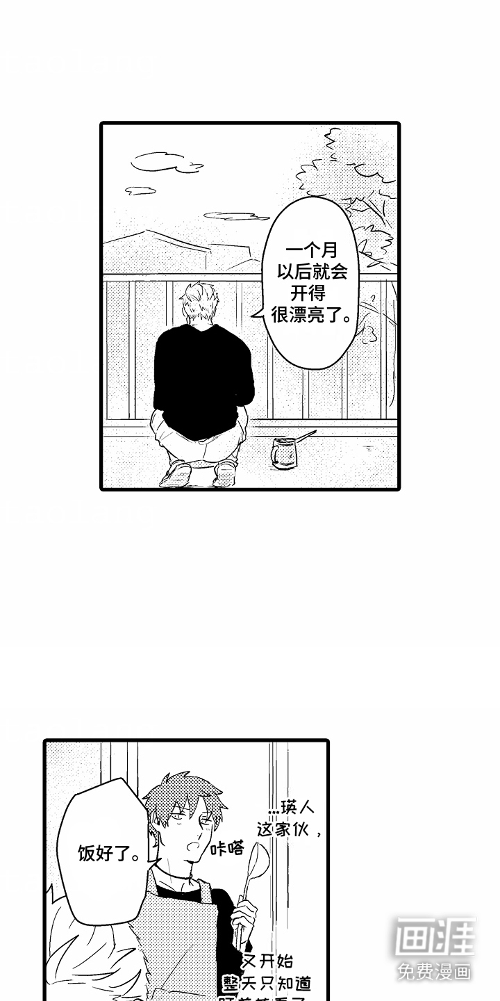 化作人形守护你第12话图