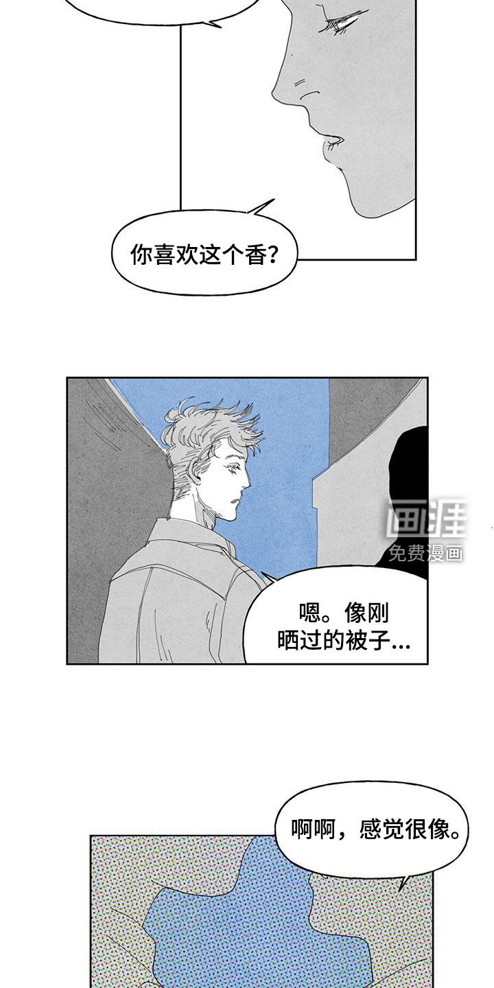 黄色天空第15话图