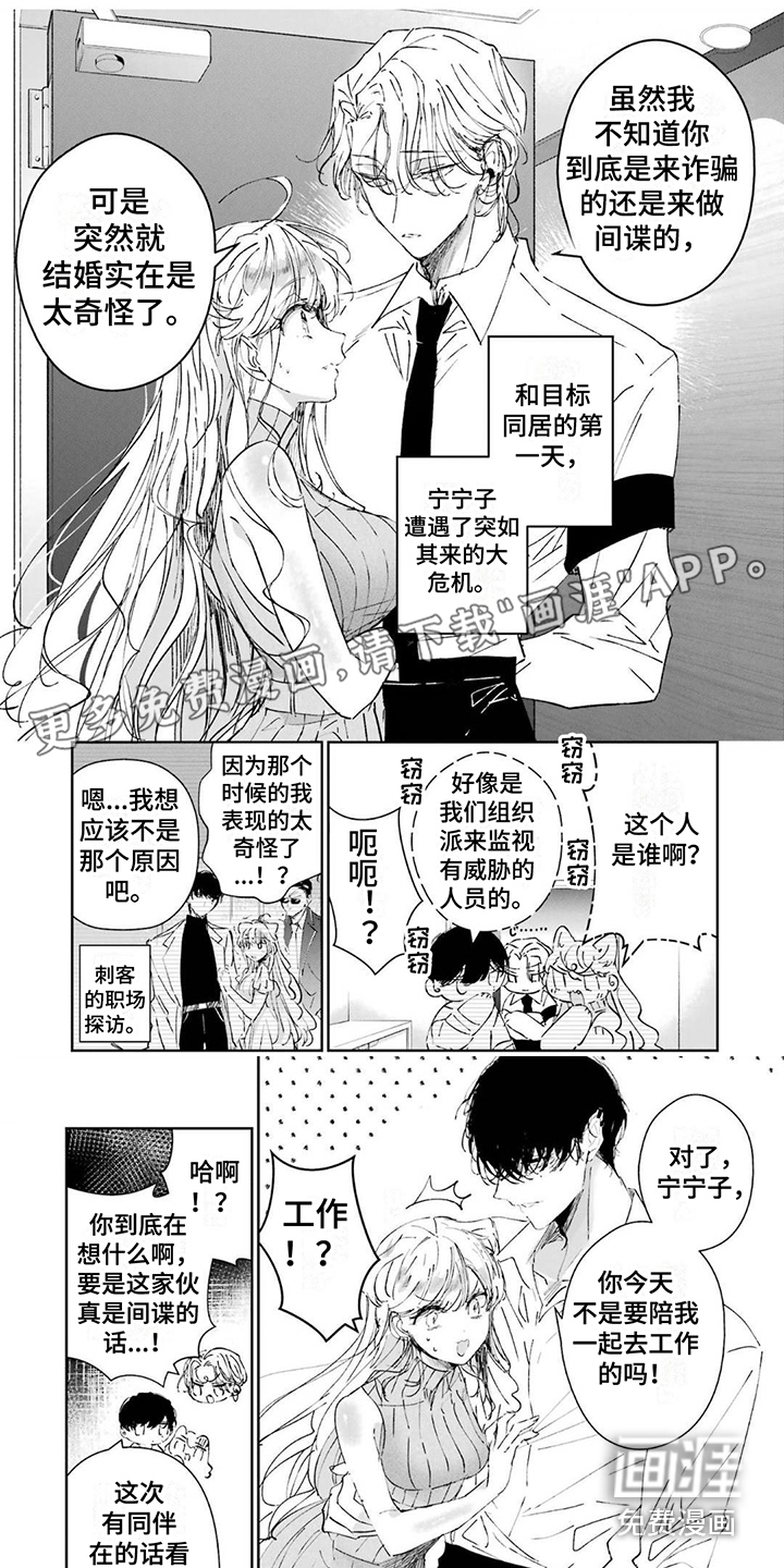 灰姑娘的专属刺客第10话图