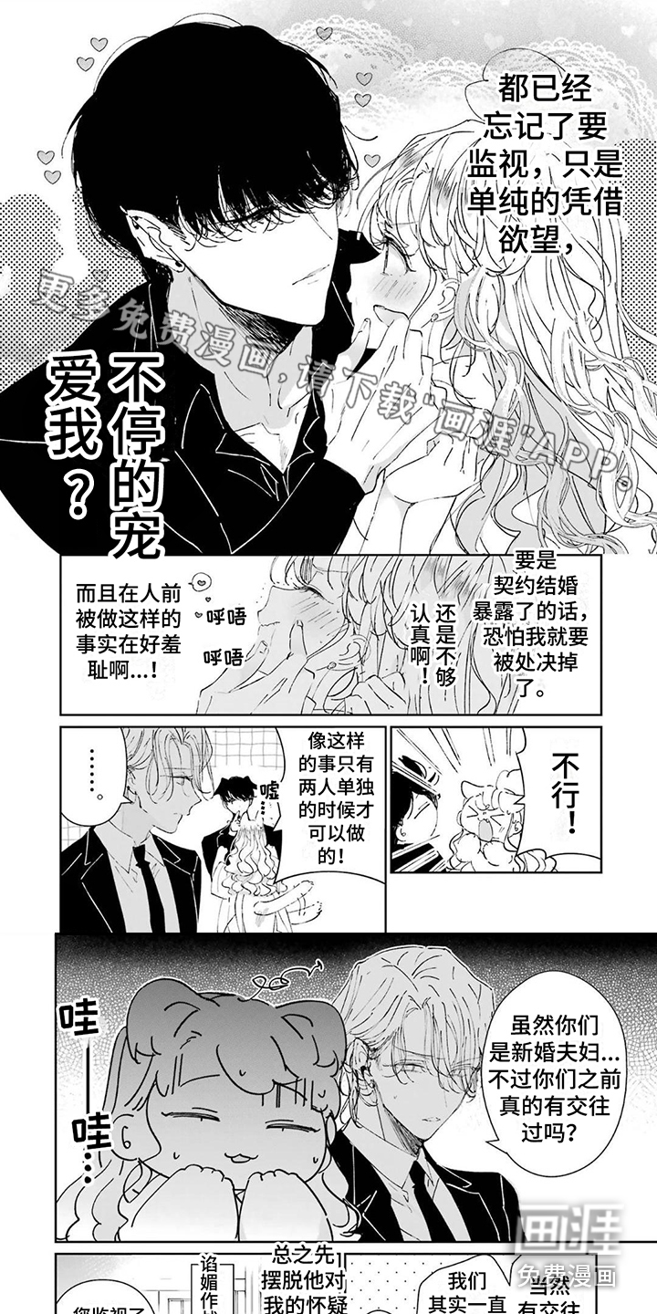 灰姑娘的专属刺客第11话图