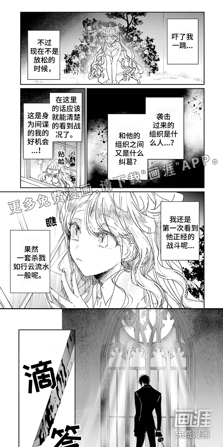 灰姑娘的专属刺客第12话图