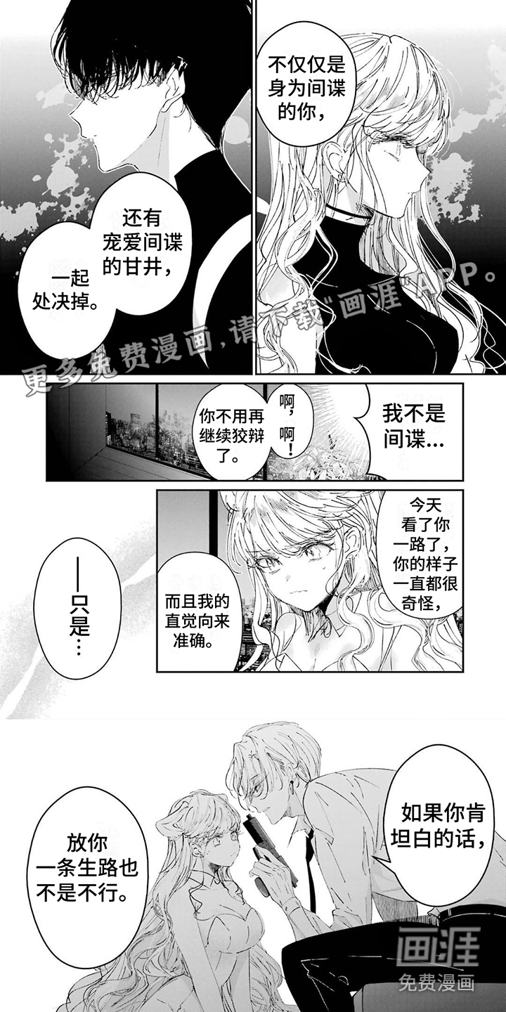 灰姑娘的专属刺客第14话图