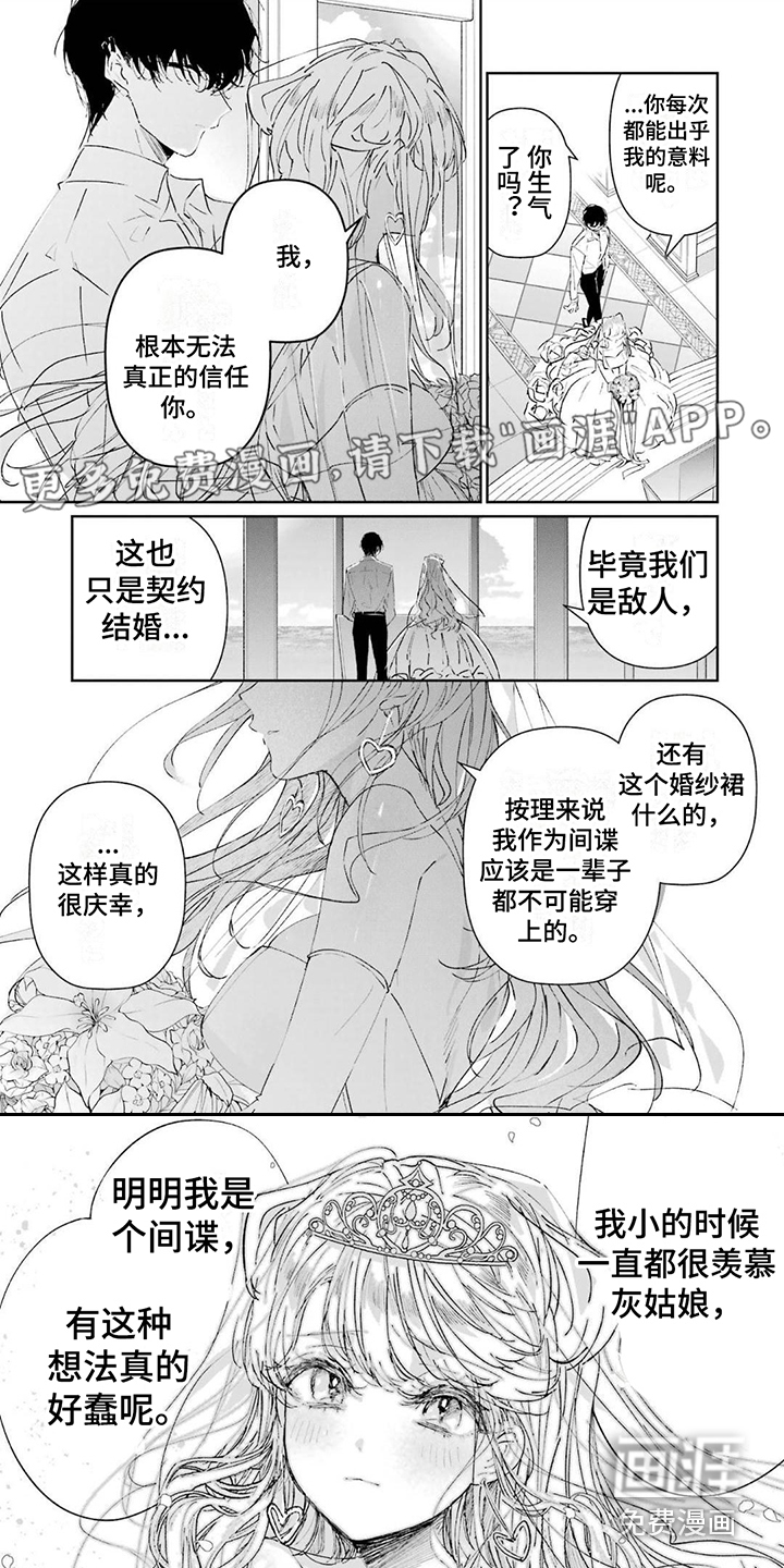 灰姑娘的专属刺客第5话图