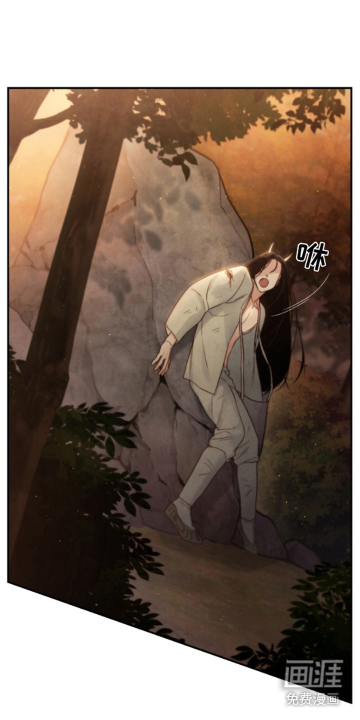 黑武王的魁魅人儿第17话图