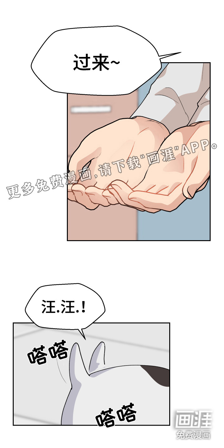 荒唐的愿望第12话图